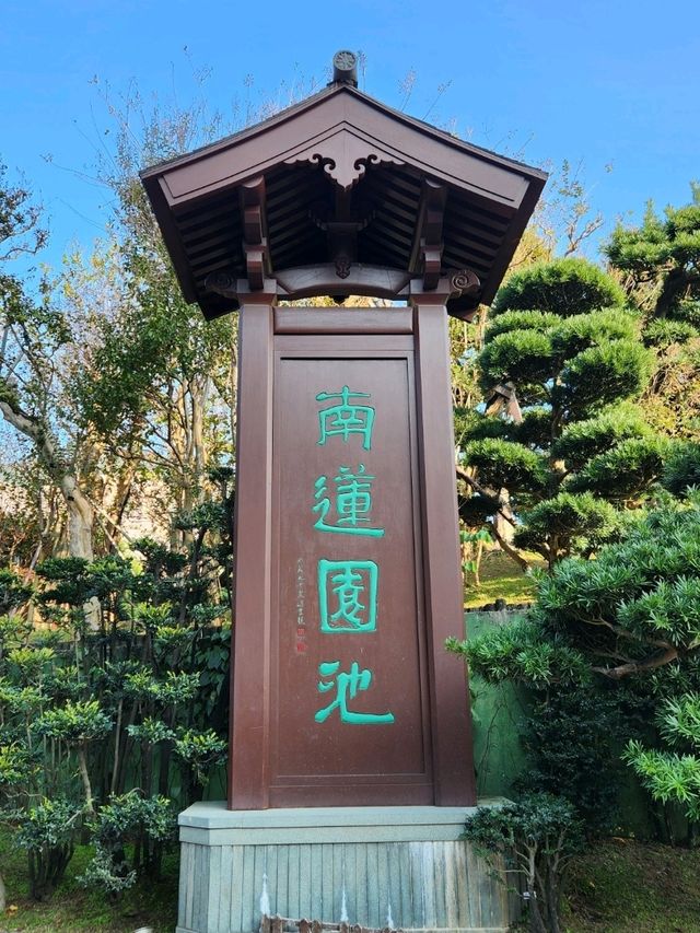香港禪意半日遊！志蓮淨苑+南蓮園池🏡嘆一陣靜謐禪意😂