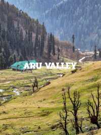 PAHALGAM TRIP