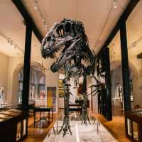 Small but great museum with lots to see including fossils, rocks and gemstones. There are some free activity sheets and a room with books, colouring sheets and puzzles