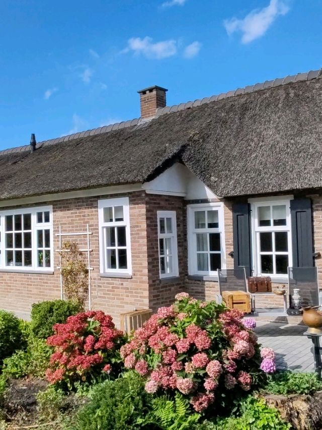 Late Summer Blooms in Giethoorn