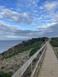 The Nobbies View Point