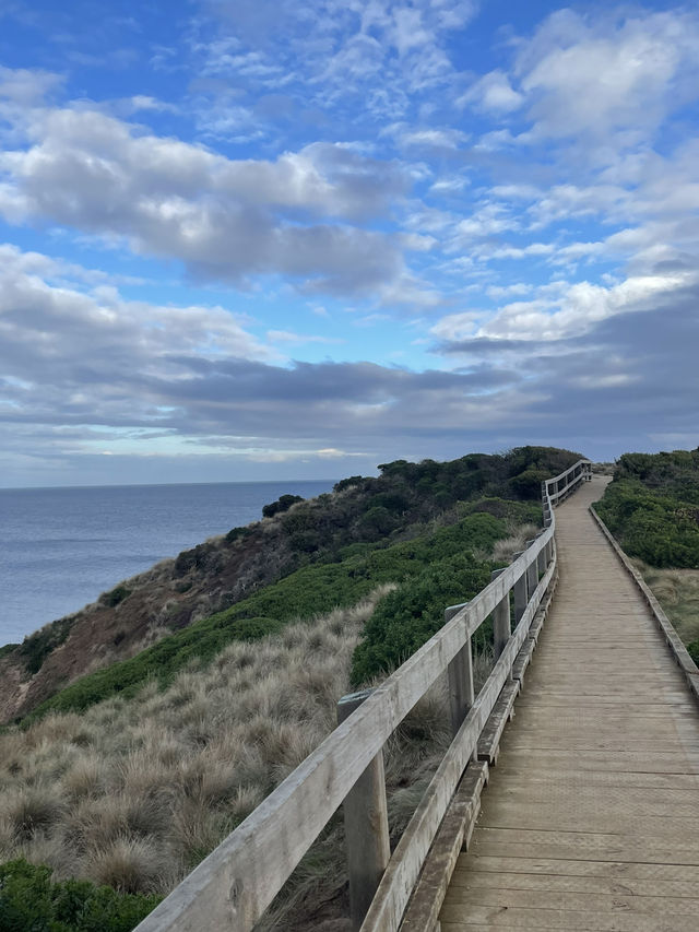 The Nobbies View Point