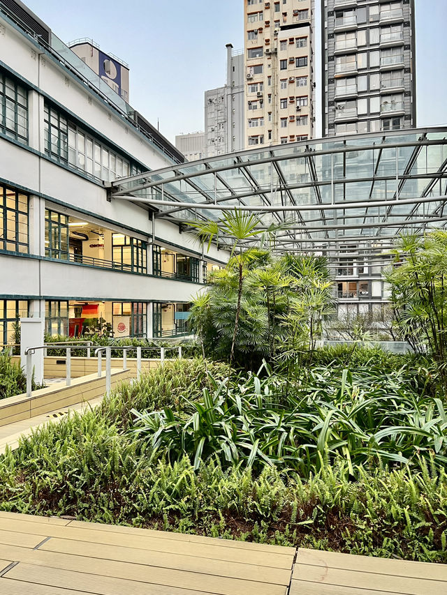 香港創意集中地@PMQ 元創方