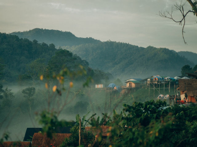 บ้านนาเลาใหม่ – หมู่บ้านเล็กๆ กลางภูเขา 🌾⛰️