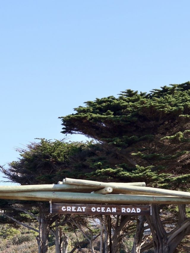🚗自駕慢遊大洋路路線規劃🌊 🚗自駕慢遊大洋路路線規劃🌊