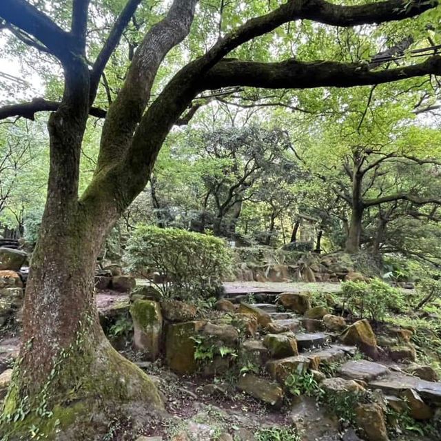 🌸⛰️ Yangming Park – The Heart of Yangmingshan 🌳✨