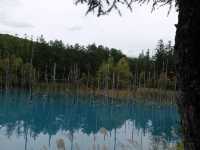 【北海道】青い池