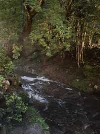 入住黑川溫泉山水木,細品美食與靜謐時光