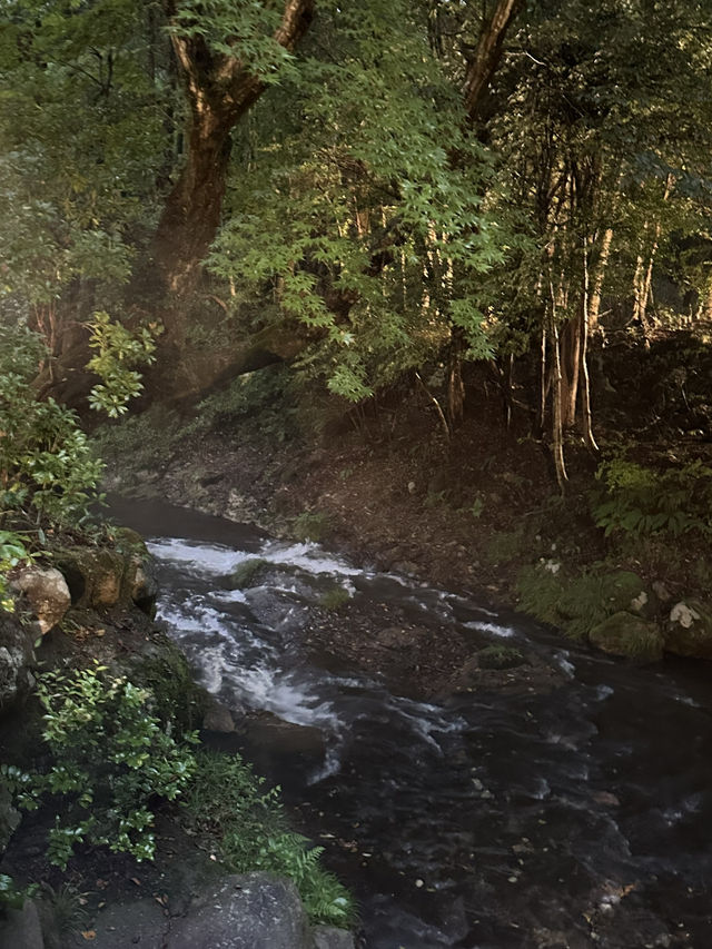 入住黑川溫泉山水木,細品美食與靜謐時光 入住黑川溫泉山水木,細品美食與靜謐時光