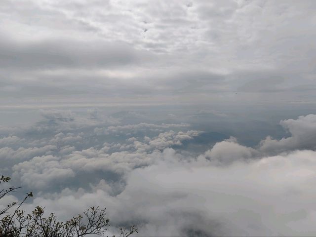 The Sea of Clouds at the Golden Summit: Emei, a Fairyland on Earth