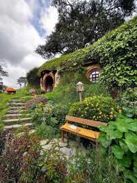 A Magical Journey Through Hobbiton