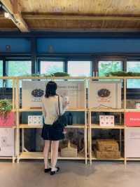 10월 추석연휴 제주 역대급 페스티벌