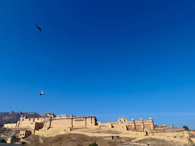 Golden Grandeur of Amber Fort