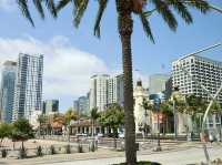 Sunny Vibes and Coastal Charm in San Diego