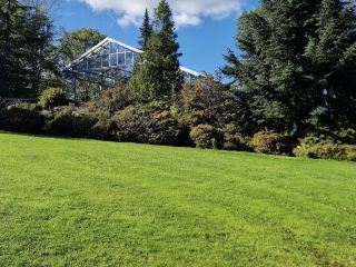 Gothenburg Botanical Garden