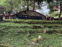 🌿 Nature Break at Taman Awam Metropolitan Relau