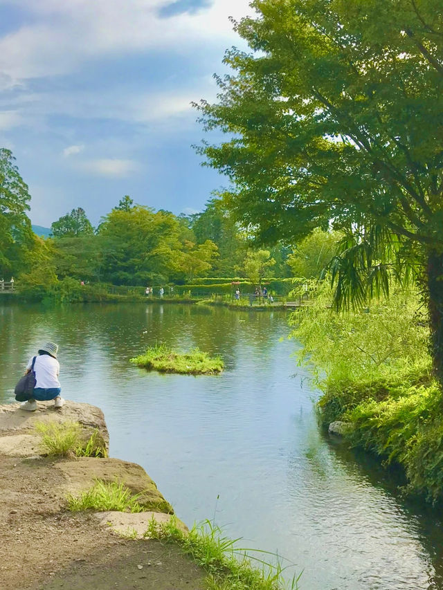 🍁 가을엔 킨린호수 산책 어때요? 🩵