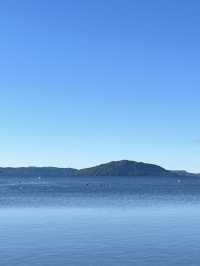 🇳🇿🦢 Rotorua's Swan Lake: Where Emerald Waters Meet Sapphire Skies! 🌊
