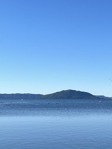 🇳🇿🦢 Rotorua's Swan Lake: Where Emerald Waters Meet Sapphire Skies! 🌊