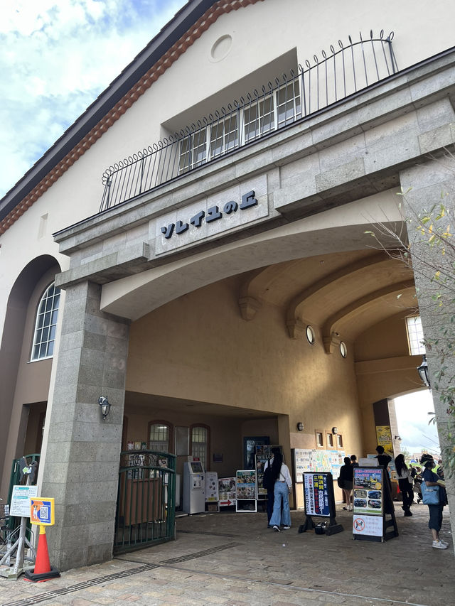🌞海と太陽のテーマパーク！ソレイユの丘で過ごす最高の1日🌞