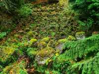 🌿 Wilhelmshöhe Park – Germany’s Grand Garden of Cascades and Castles