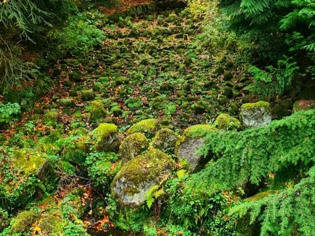 🌿 Wilhelmshöhe Park – Germany’s Grand Garden of Cascades and Castles