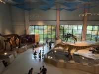 🏛️ National Museum of Natural Science, Taichung — A Journey Through Nature and Discovery