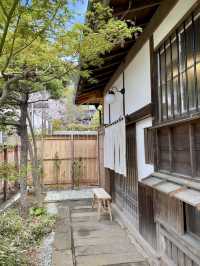 A Hidden Gem Café in Kamakura – Kitahashi Café ☕🌿