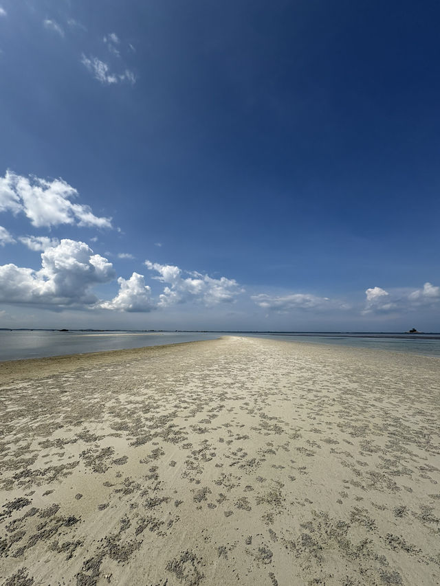 🏝️ The Ultimate Bintan Getaway: Adventure, Food & Insta-Worthy Spots! 📸