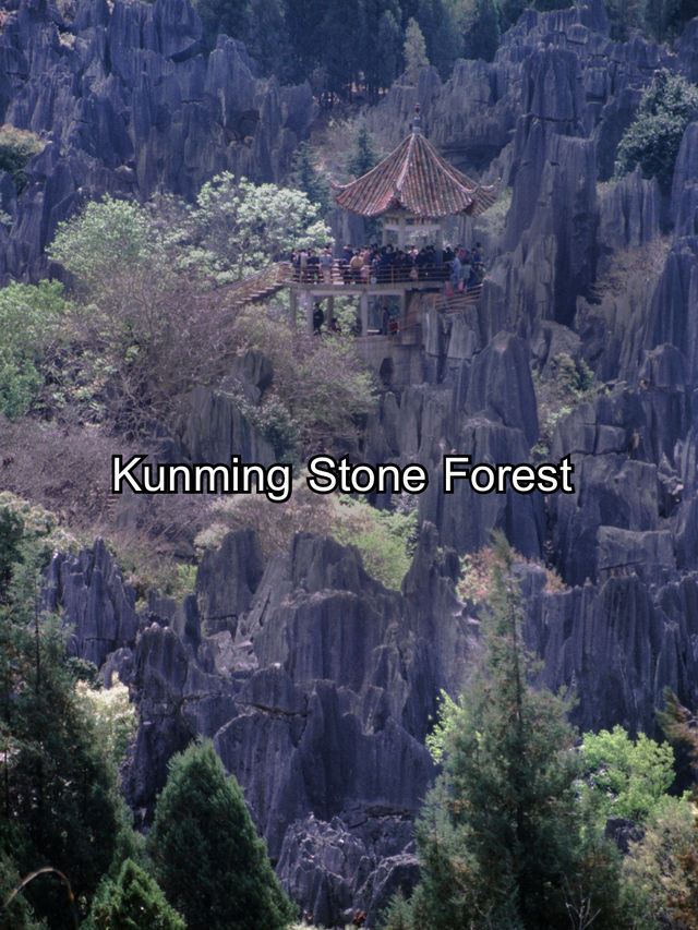 Kunming Stone Forest  Kunming Stone Forest