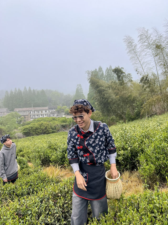 🍃 วันนี้เรามา “เก็บชา” กันที่ 福泉山茶山