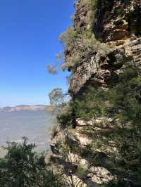 【オーストラリア・ニューサウスウェールズ州】大自然の絶景を感じる「ブルー・マウンテンズ」🏞️🌿🌄
