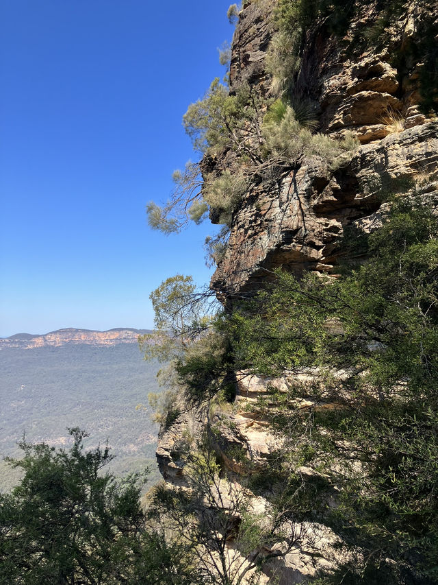 【オーストラリア・ニューサウスウェールズ州】大自然の絶景を感じる「ブルー・マウンテンズ」🏞️🌿🌄