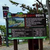 【蔚山】長さ303メートル‼️無料の吊り橋【大王岩公園吊橋】