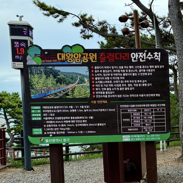 【蔚山】長さ303メートル‼️無料の吊り橋【大王岩公園吊橋】 【蔚山】長さ303メートル‼️無料の吊り橋【大王岩公園吊橋】