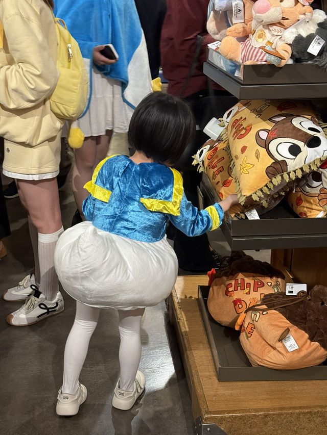 Shanghai Disneyland.