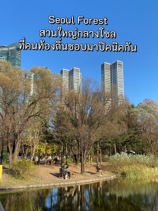 Seoul Forest ในวันที่ใบไม้เปลี่ยนสี