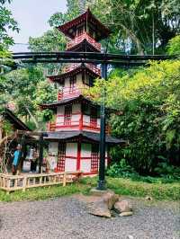 Wonders of The Great Asia Africa