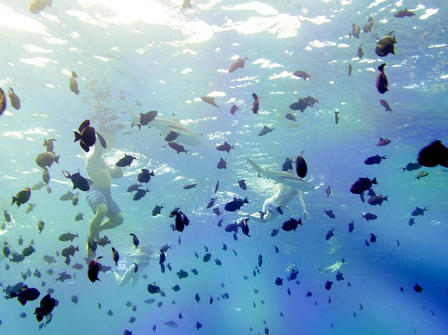 Bora Bora Explorer - Amazing & unforgettable tour Bora Bora Explorer - Amazing & unforgettable tour