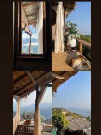 บ้านซุกกิ๊กโฮมสเตย์ห้วยกุ๊บกั๊บอ.แม่แตงจ.เชียงใหม่