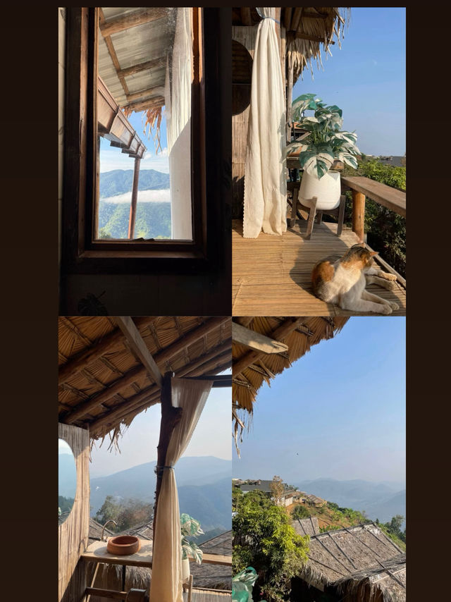 บ้านซุกกิ๊กโฮมสเตย์ห้วยกุ๊บกั๊บอ.แม่แตงจ.เชียงใหม่ บ้านซุกกิ๊กโฮมสเตย์ห้วยกุ๊บกั๊บอ.แม่แตงจ.เชียงใหม่