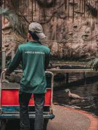 A Heartwarming Encounter with Nature – Feed the Fish @ 1 Utama Wildlife Conservation Efforts