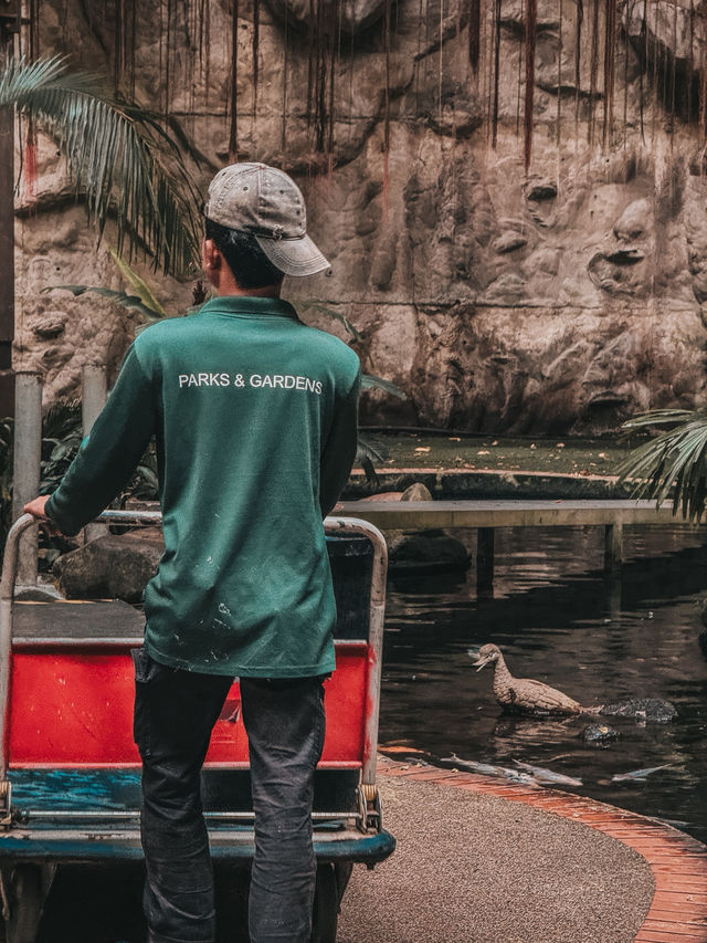 A Heartwarming Encounter with Nature – Feed the Fish @ 1 Utama Wildlife Conservation Efforts A Heartwarming Encounter with Nature – Feed the Fish @ 1 Utama Wildlife Conservation Efforts