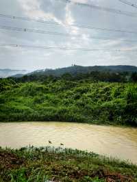 Cozy Kampung Eats🌿