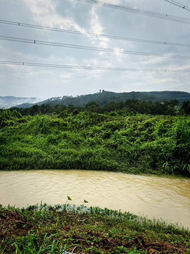 Cozy Kampung Eats🌿 Cozy Kampung Eats🌿