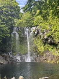 Jeju Nature Days🌼