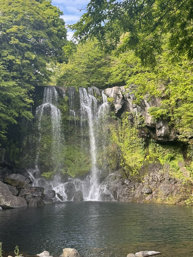 Jeju Nature Days🌼 Jeju Nature Days🌼