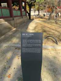 서울에서 만난 가장 아름다운 가을, 덕수궁 단풍 산책