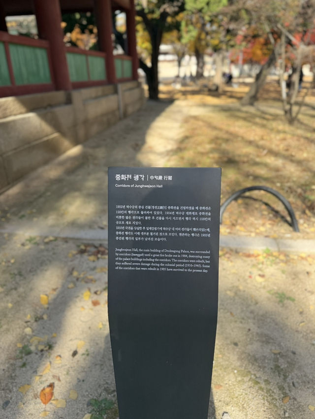 서울에서 만난 가장 아름다운 가을, 덕수궁 단풍 산책