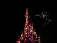 Hong Kong Disneyland 20th Anniversary 